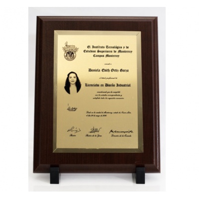 TÍTULO EN PLACA MEDIANO